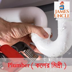Plumber Mr. Billu in Bhagwanpur